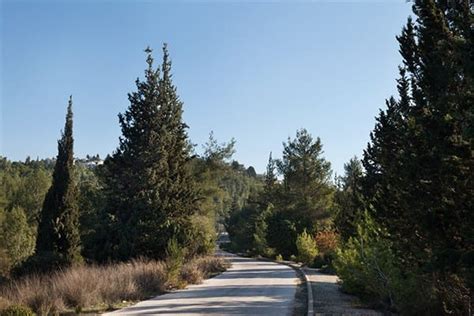 16 Best Hotels in Beit Shemesh. Hotels from $140/night .